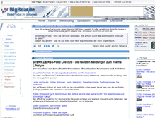 Tablet Screenshot of bigbear.de